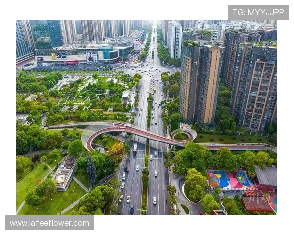 成都滑板队如何通过阵地战革新推动城市文化与青年运动的融合发展