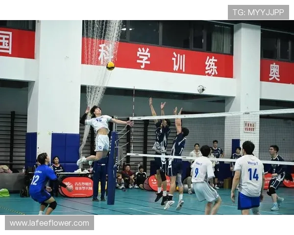 武汉排球队的转换体系探析与排球战术创新研究