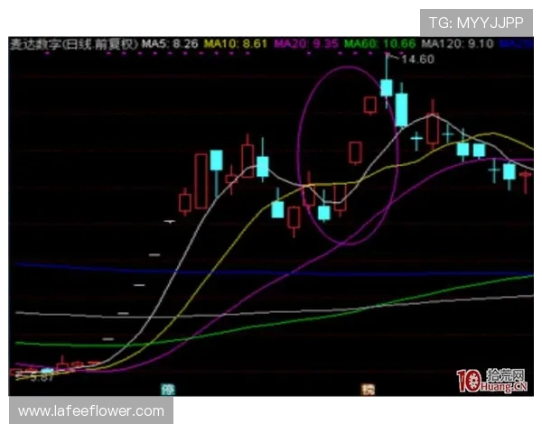 深圳篮球队技术分析与战术创新的深度探讨与展望