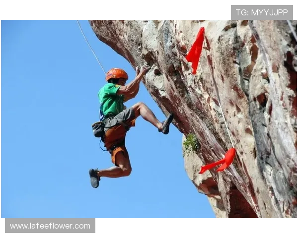 周丽独家分享攀岩技巧与心得体会助你征服高峰挑战自我极限